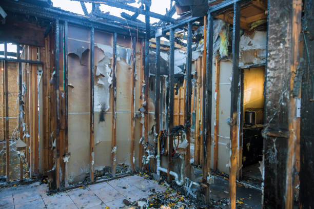 Professional Structural Rebuild technician working in Chester, VA